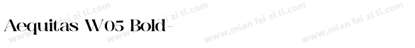 Aequitas W05 Bold字体转换